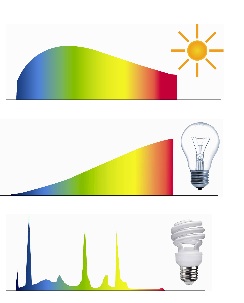 colour rendition from bulbs