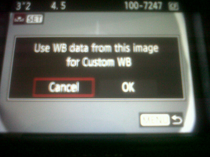 7d display screen Custom white balance