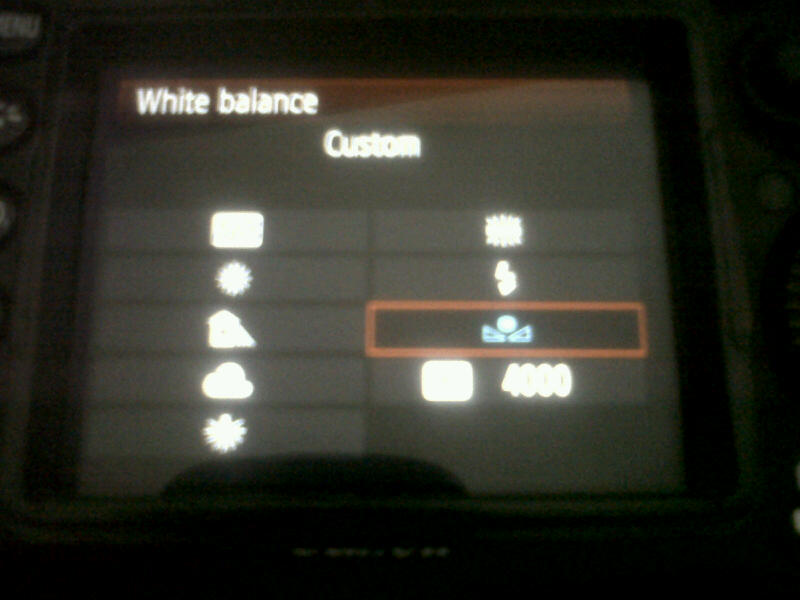 7d display white balance menu