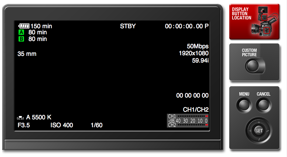 Canon C300 Simulator